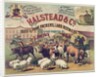 Halstead & Co. Beef & Pork Packers, Lard Refiners & Co. by Anonymous