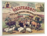 Halstead & Co. Beef & Pork Packers, Lard Refiners & Co. by Anonymous