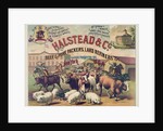 Halstead & Co. Beef & Pork Packers, Lard Refiners & Co. by Anonymous