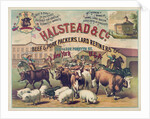 Halstead & Co. Beef & Pork Packers, Lard Refiners & Co. by Anonymous