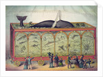 Lithograph of 19th century traveling aquarium by Anonymous