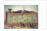 Lithograph of 19th century traveling aquarium by Anonymous