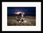 Cheetah and Lightning Storm, Ngorongoro Conservation Area, Tanzania by Anonymous