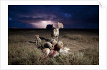 Cheetah and Lightning Storm, Ngorongoro Conservation Area, Tanzania by Anonymous
