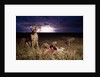 Cheetah and Lightning Storm, Ngorongoro Conservation Area, Tanzania by Anonymous