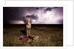 Cheetah and Lightning Storm, Ngorongoro Conservation Area, Tanzania by Anonymous