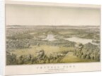 Lithograph of Central Park by Anonymous
