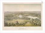 Lithograph of Central Park by Anonymous