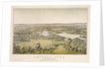 Lithograph of Central Park by Anonymous