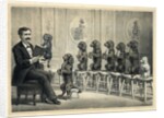 Educated Dogs by Anonymous