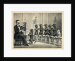 Educated Dogs by Anonymous