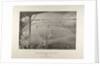 The Boston Base Ball Club by Anonymous