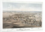 Lithograph of Princeton College by Anonymous