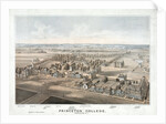 Lithograph of Princeton College by Anonymous