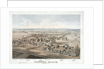 Lithograph of Princeton College by Anonymous