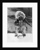 Dog wearing bonnet with cup of tea by Anonymous