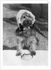 Dog wearing bonnet with cup of tea by Anonymous