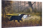 Hunting dogs in woods by Anonymous