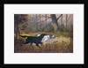 Hunting dogs in woods by Anonymous