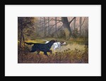 Hunting dogs in woods by Anonymous