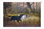 Hunting dogs in woods by Anonymous
