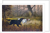 Hunting dogs in woods by Anonymous