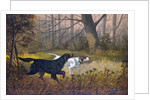 Hunting dogs in woods by Anonymous