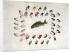 Standard American Black Bass and Lake Flies by Anonymous