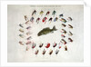 Standard American Black Bass and Lake Flies by Anonymous