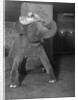 Baby elephant wearing straw hat by Anonymous