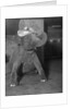 Baby elephant wearing straw hat by Anonymous
