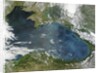 Phytoplankton bloom in the Black Sea by Anonymous