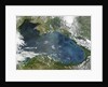 Phytoplankton bloom in the Black Sea by Anonymous