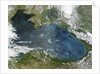 Phytoplankton bloom in the Black Sea by Anonymous
