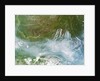 Satellite view of fires burning in Siberia by Anonymous