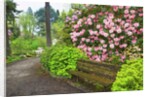 Spring flowers in Crystal Springs Rhododendron Garden by Anonymous