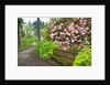 Spring flowers in Crystal Springs Rhododendron Garden by Anonymous