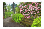 Spring flowers in Crystal Springs Rhododendron Garden by Anonymous