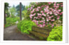 Spring flowers in Crystal Springs Rhododendron Garden by Anonymous