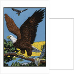 Vintage Illustration of a Bald Eagle. by Anonymous