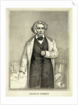 Portrait of Charles Sumner by Anonymous