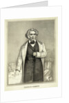 Portrait of Charles Sumner by Anonymous