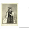 Portrait of Charles Sumner by Anonymous