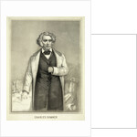 Portrait of Charles Sumner by Anonymous
