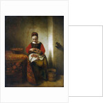 Young Woman Peeling Apples by Nicolaes Maes