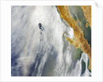 Glory pattern and cloud vortex in over Pacific Ocean by Anonymous