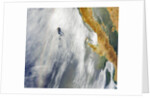 Glory pattern and cloud vortex in over Pacific Ocean by Anonymous