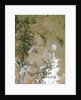 Fontenelle Fire in Wyoming by Anonymous
