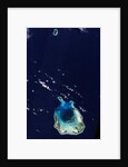 Cocos (Keeling) Islands by Anonymous