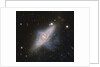 Overlapping galaxies by Anonymous